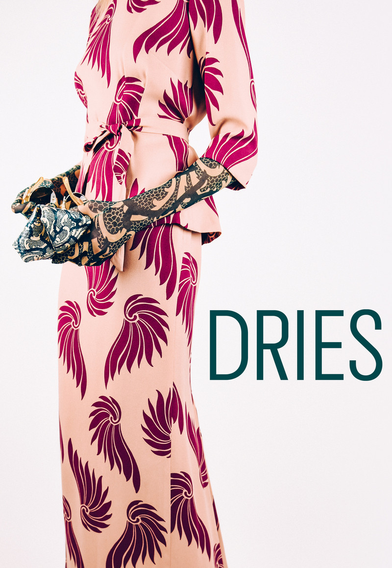Dries - Poster