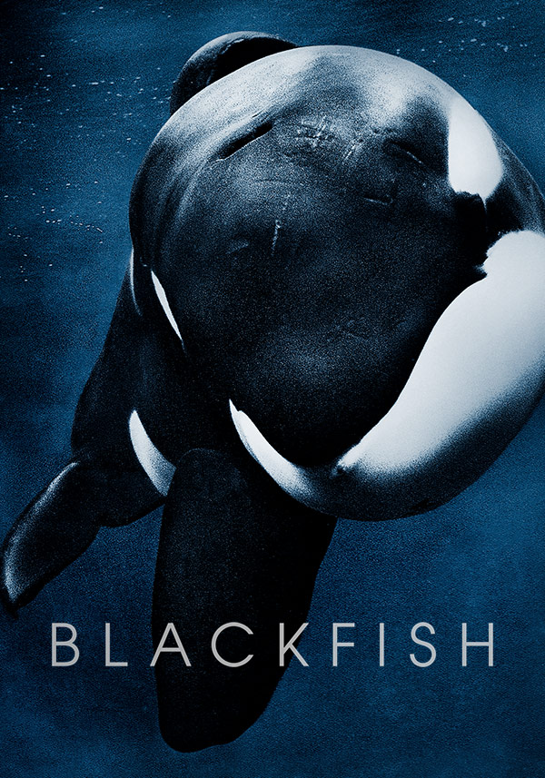 Blackfish - Poster